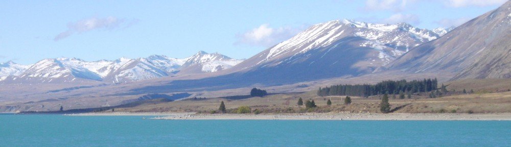 TimtheKiwiBennett